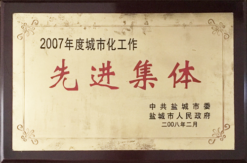 2008年2月城市化工作“先進集體”.jpg